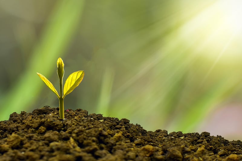 Sustainability Specialist